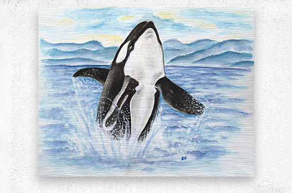 600x397 Orca Whale Breaching Watercolor
