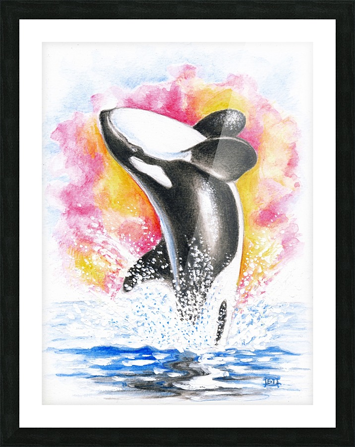 Orca Whale Watercolor at GetDrawings | Free download