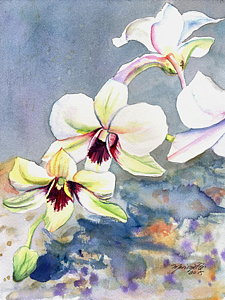 225x300 Orchid Watercolor Paintings Fine Art America