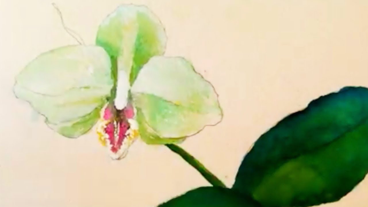 1280x720 Orchid Watercolor Tutorial, A Fast And Easy Way To Paint