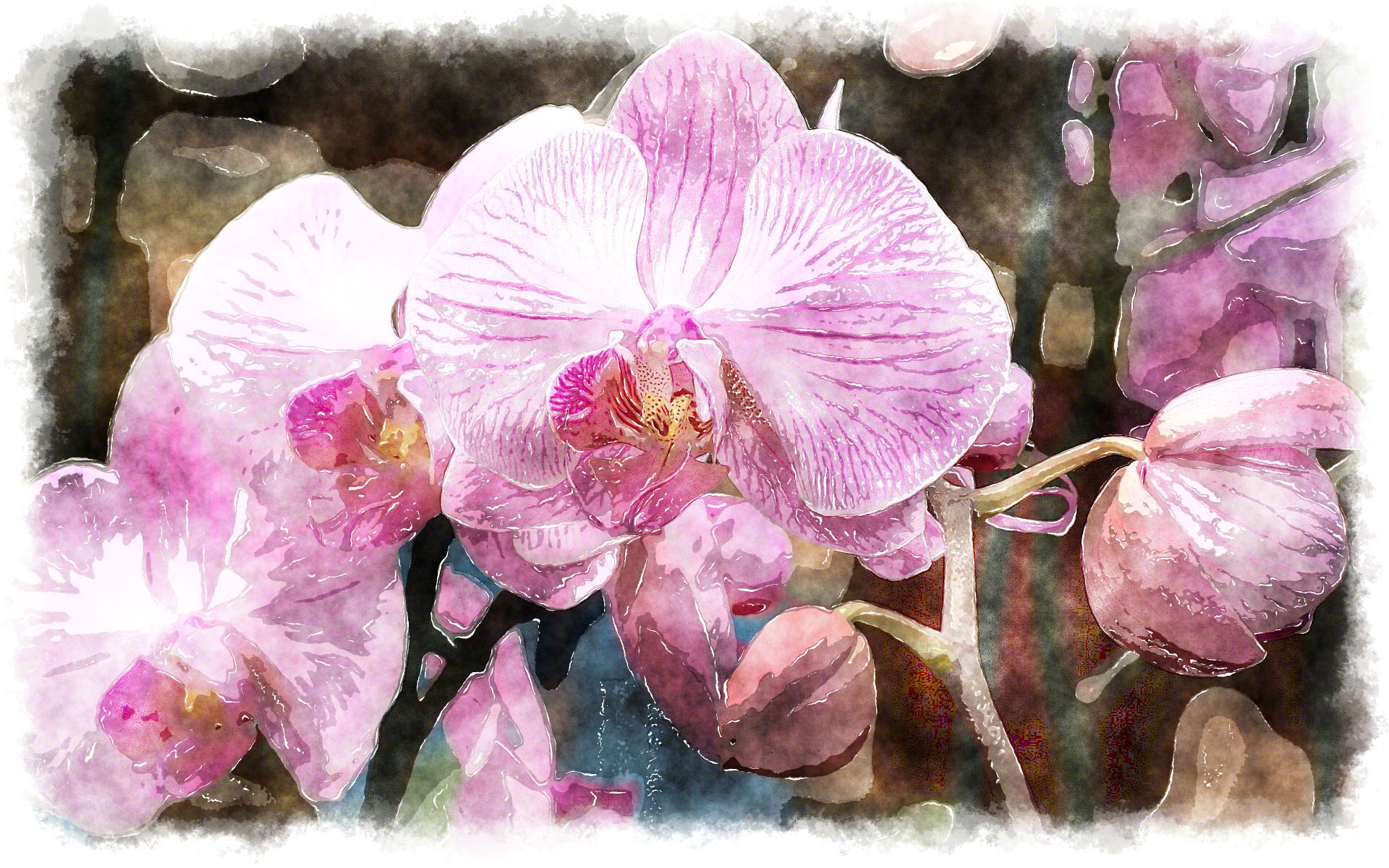 1920x1201 Watercolor Orchids, Watercolor Paintings Of Beautiful Orchids
