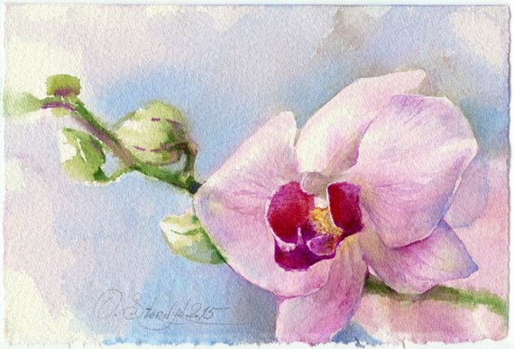 570x387 Orchid Watercolor Orchid Painting Orchid Orchid Art Ptint Etsy