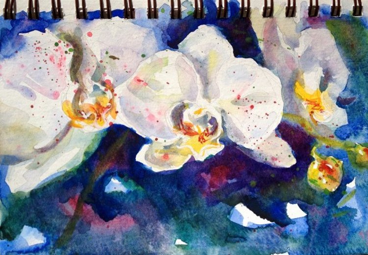 750x521 White Phalaenopsis Orchid Watercolor Painting Tutorial