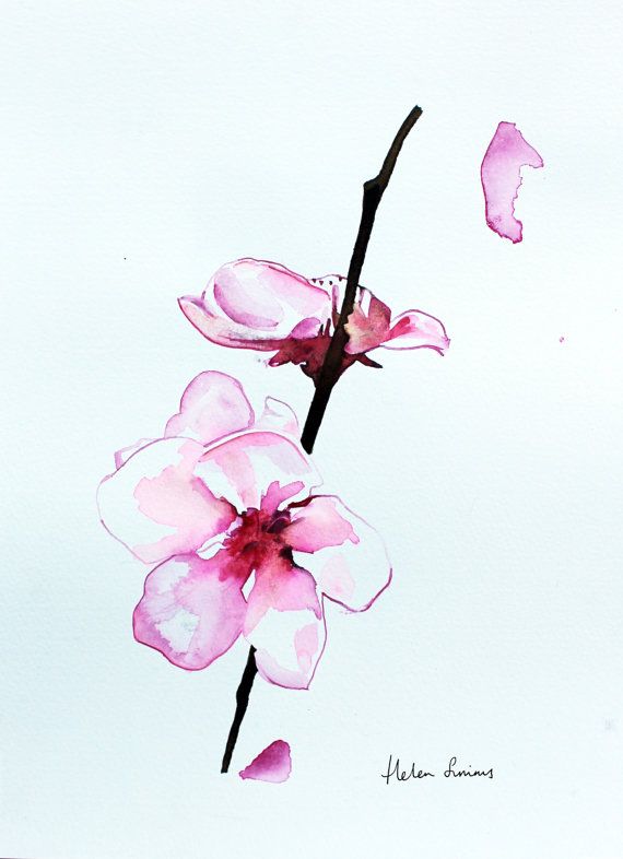570x786 Original Watercolour Orchid Flower Painting By Helenillustration