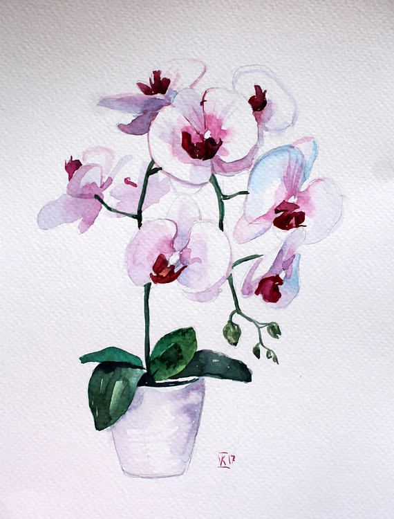 Orchid Watercolor at GetDrawings | Free download
