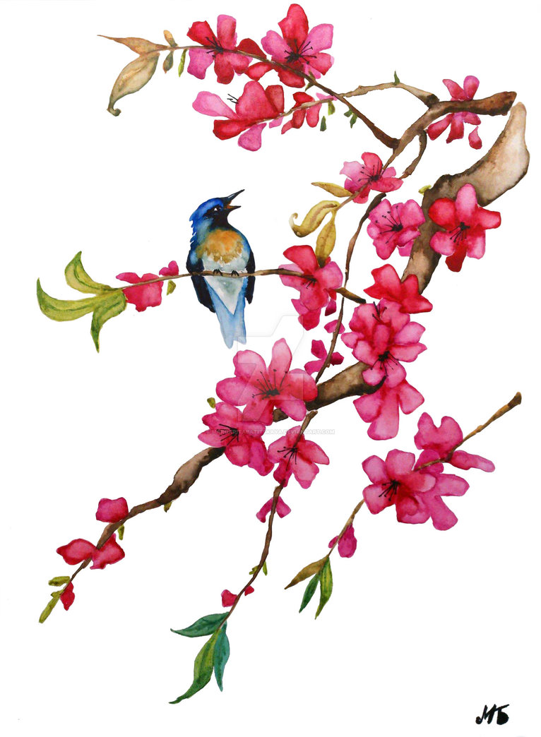 766x1044 Chinese Watercolor. A Flower Of Oriental Cherry. By