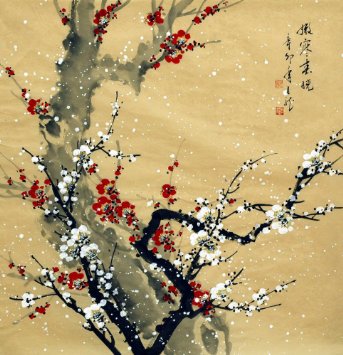 343x355 Buy Plum Blossom