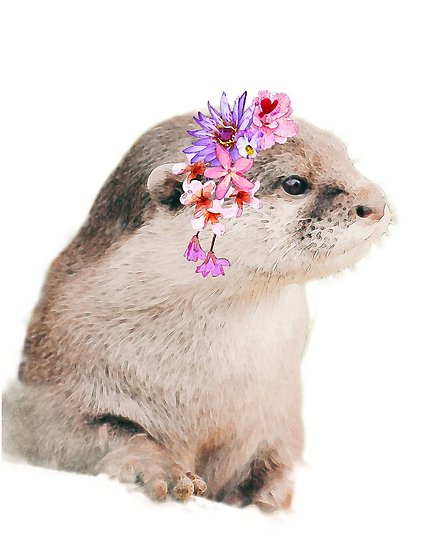 432x550 Oana The Otter, Oana The Otter, Animal Wall Art Print, 8x10