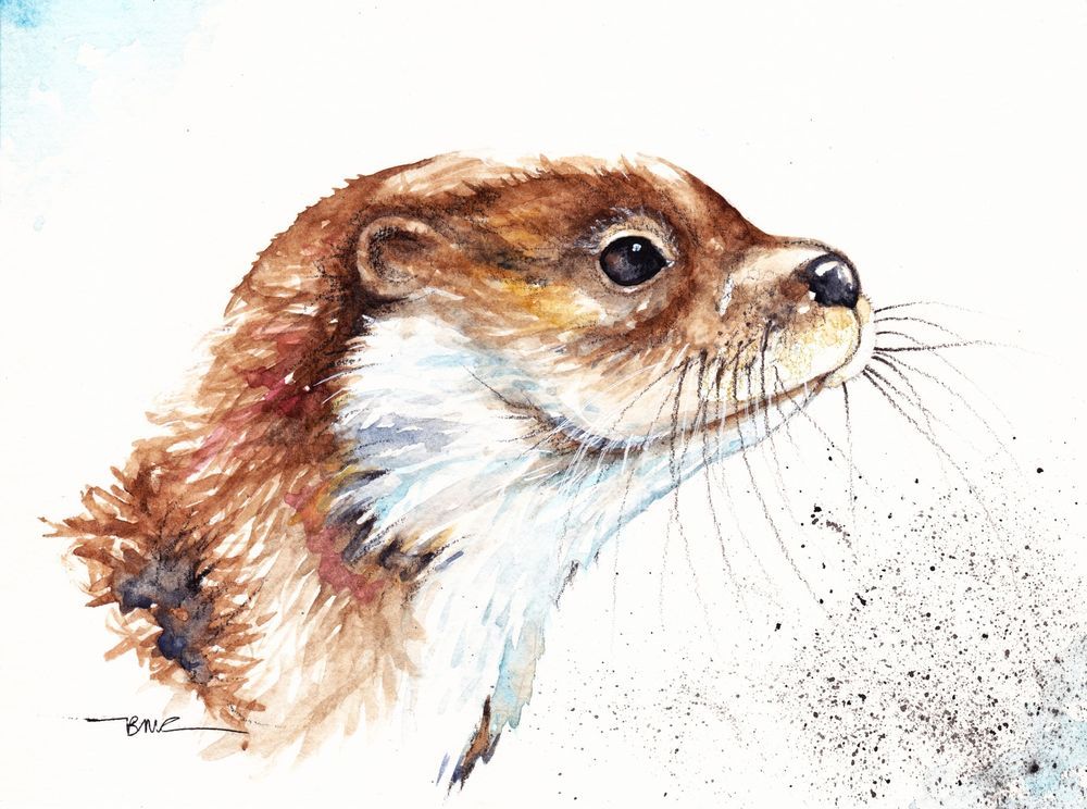 1000x744 Original Watercolour Painting By Be Coventry,animals,realism,otter