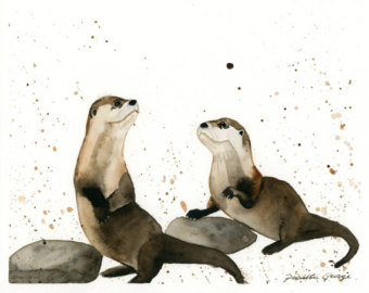 340x270 Otter Watercolor Painting Otter Art Otter Painting