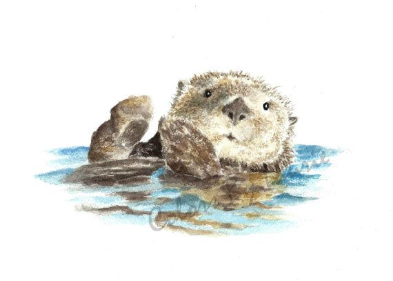 570x407 Playful Watercolor Print Of Ocean Wildlife This Little Sea Otter