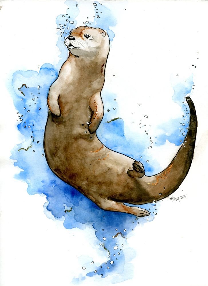 727x1000 The Otter Art, Drawing, Design, Inspirations