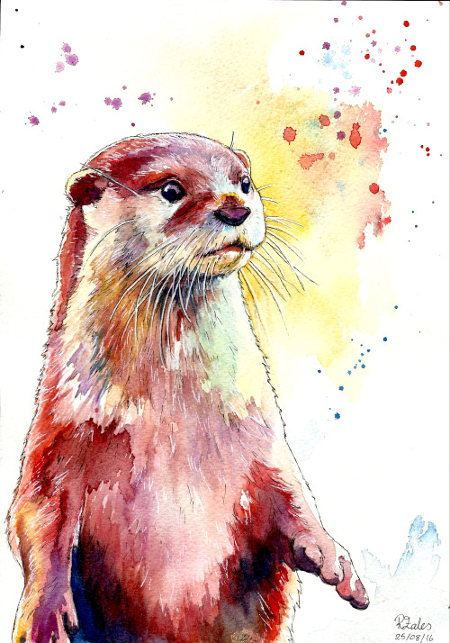 500x714 Watercolor Otter Tumblr
