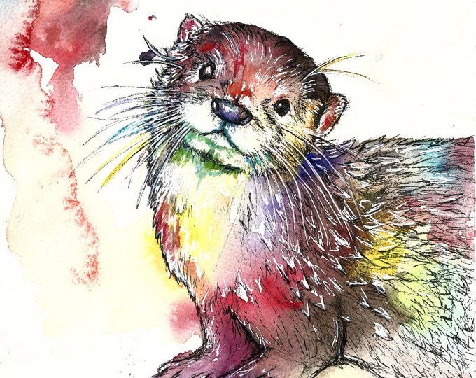 680x540 Delilah The Otter Limited Edition A3 Painting Watercolour Colour