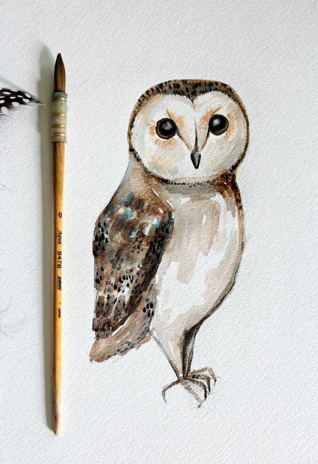 640x933 Diy Owl Watercolor Painting Artwork Ideas Simple
