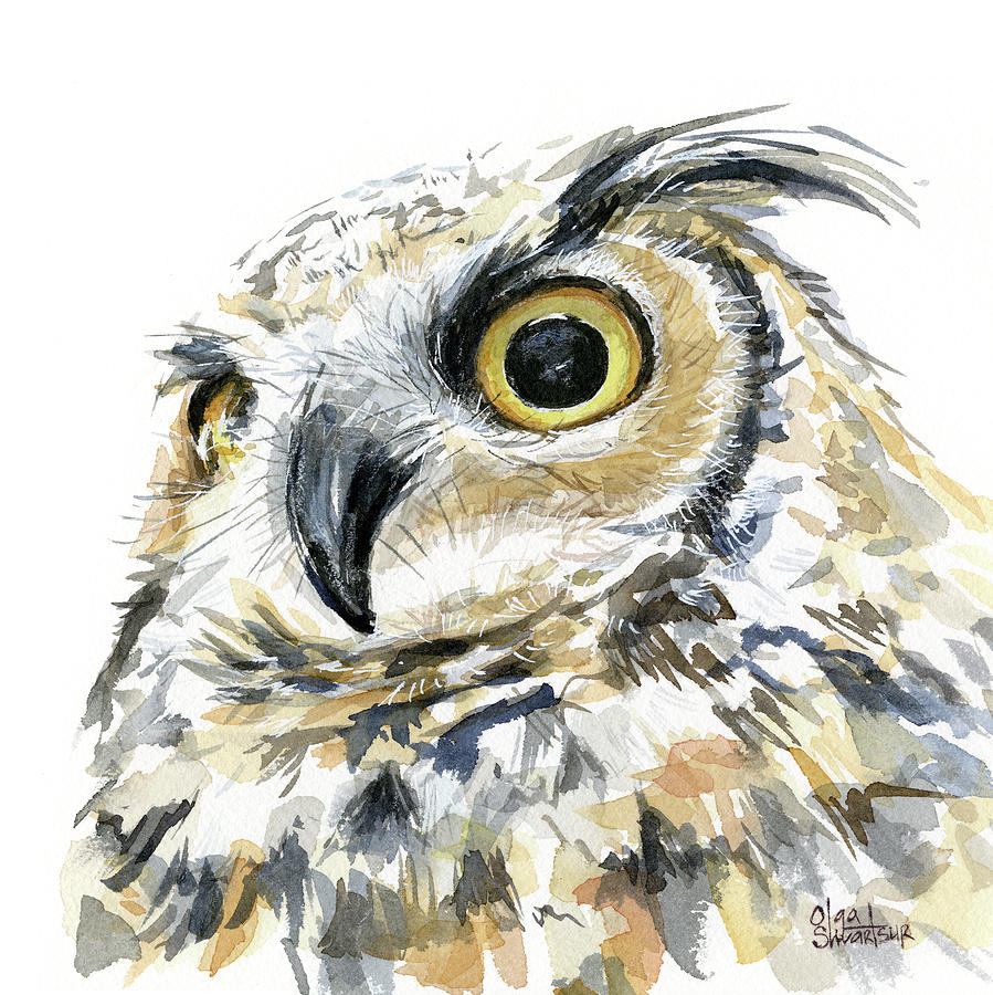 899x900 Great Horned Owl Watercolor Painting By Olga Shvartsur