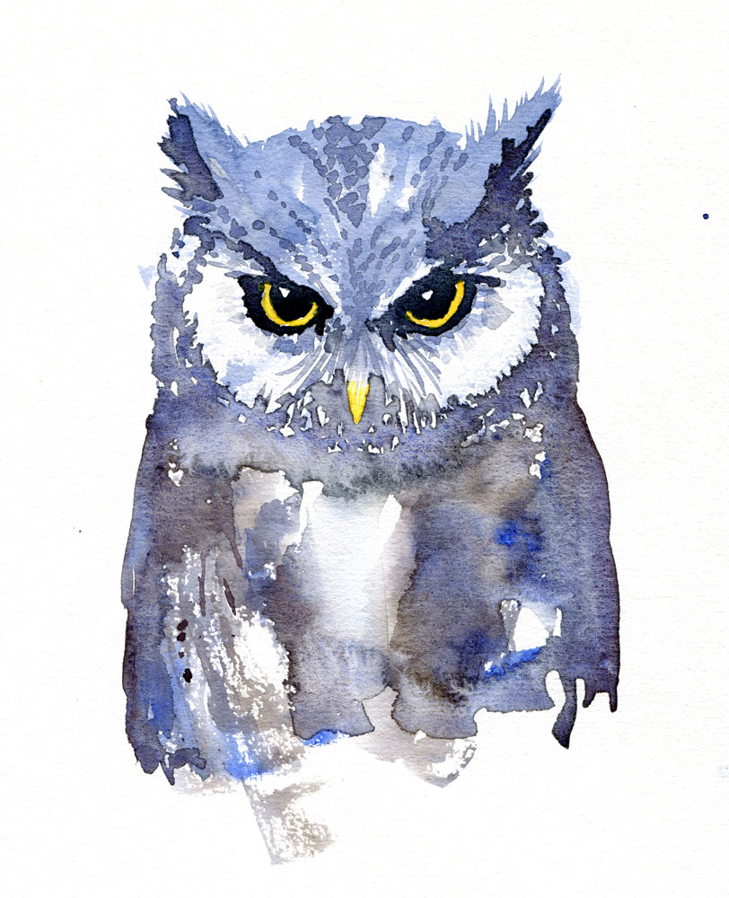 812x1000 Owl Watercolor, Front View The Hiking Artist Project By Frits
