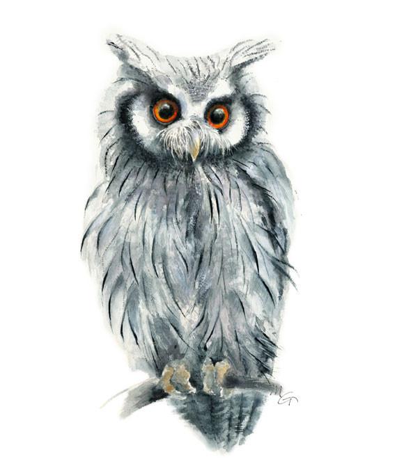 570x670 Owl Watercolor Archival Print Mira Guerquin Watercolors