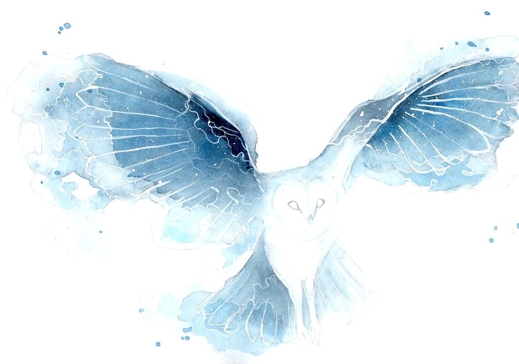 1024x719 Owl Watercolor By Paintings Theopulence