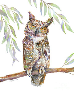 240x300 Owl Watercolor Paintings Fine Art America