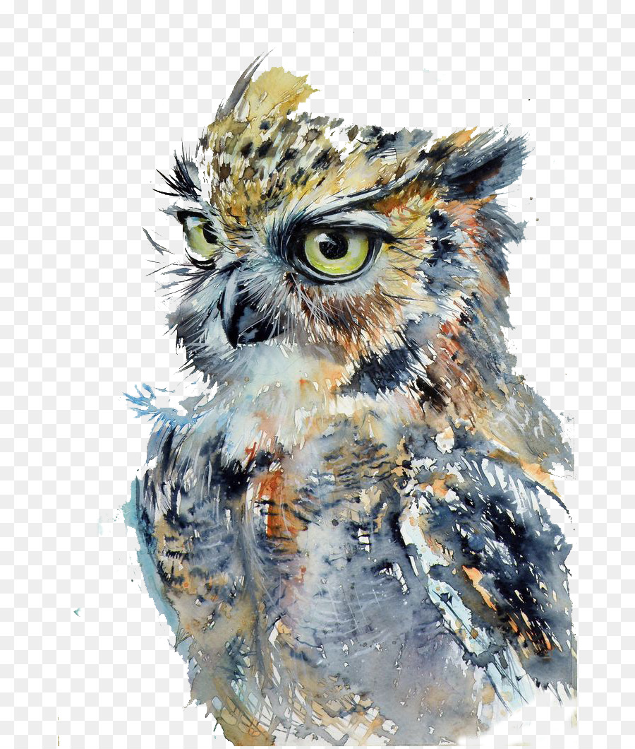 900x1060 Owl Watercolor Painting Drawing Art