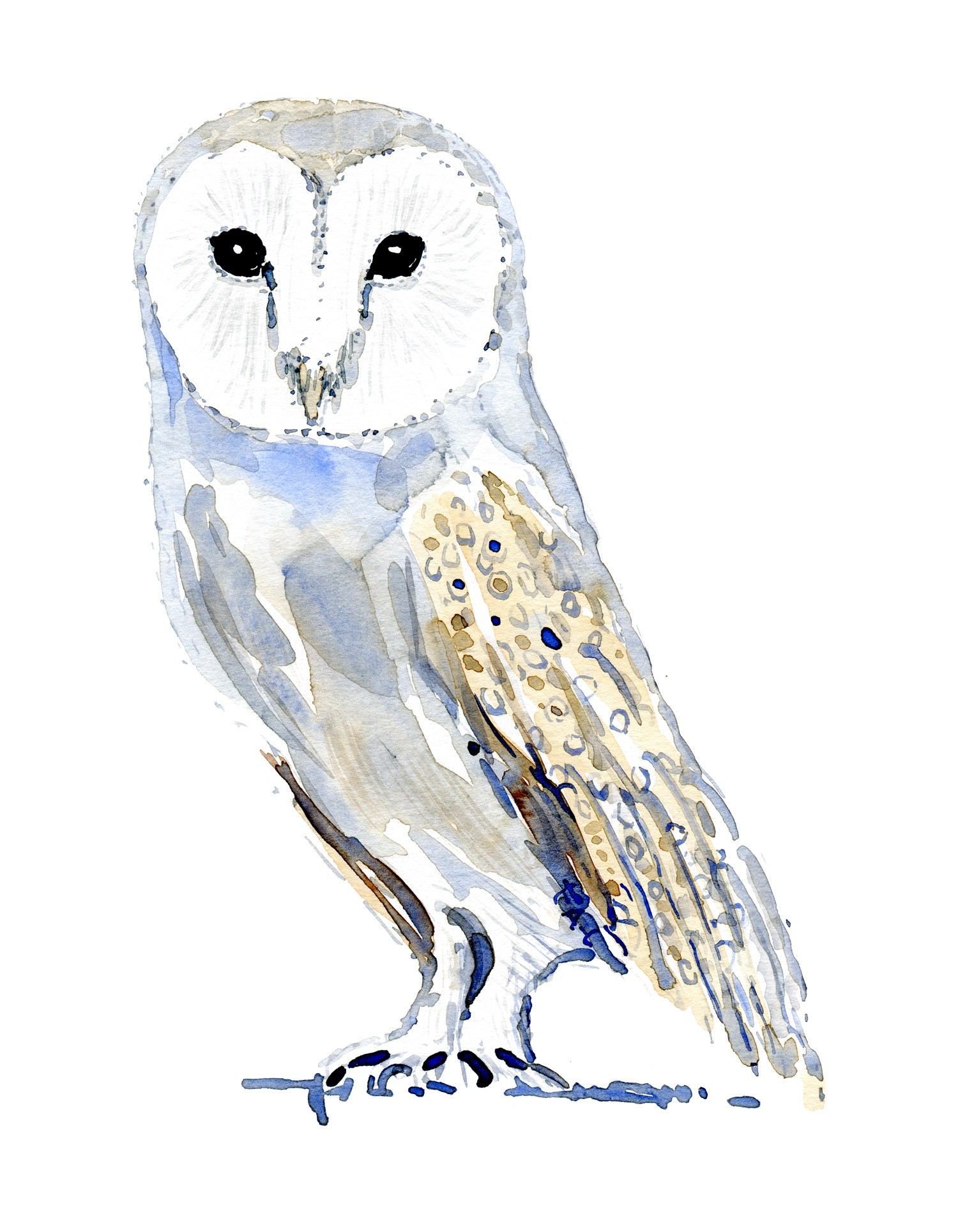 1500x1929 Owls Five Watercolor Paintings Frits Ahlefeldt