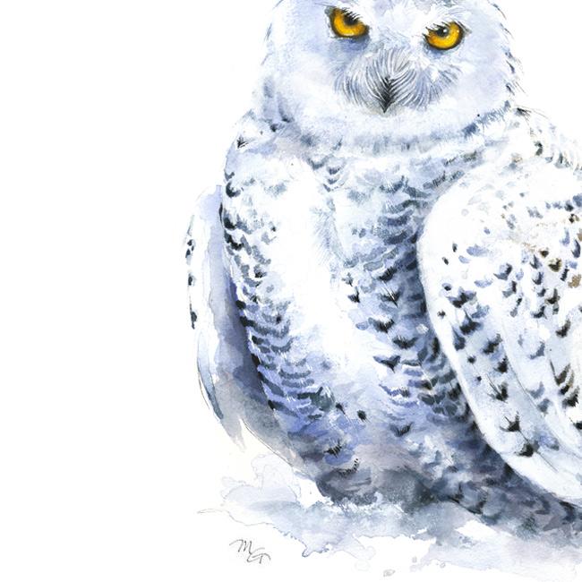 650x650 Snowy Owl Watercolor Archival Print Mira Guerquin Watercolors