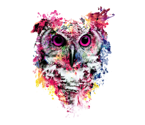 571x495 Watercolor Owl Teefury