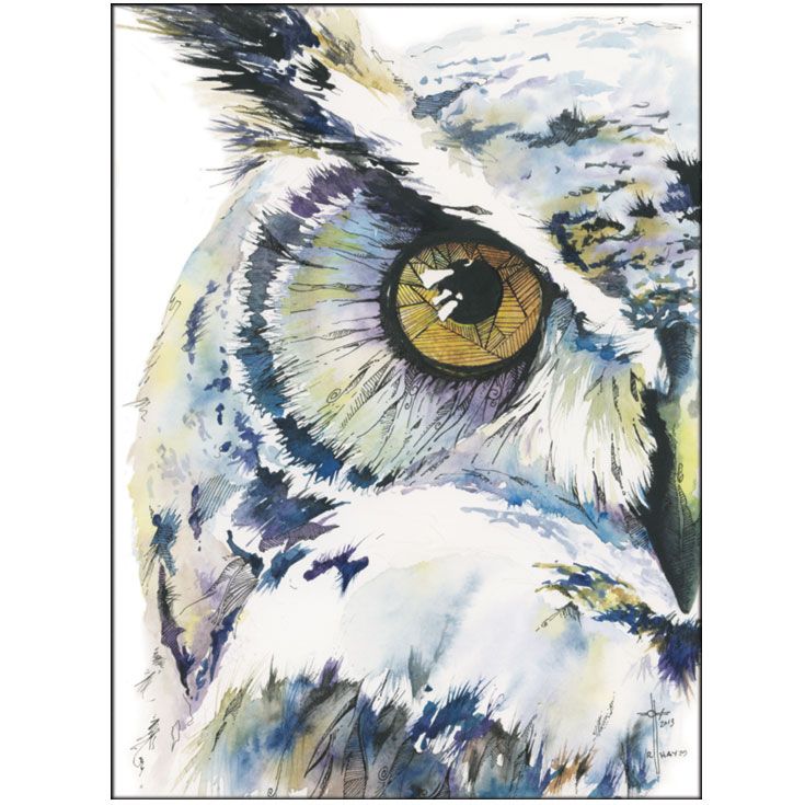 735x735 Wise Whimsical Owl Watercolor And Ink Owls Owl