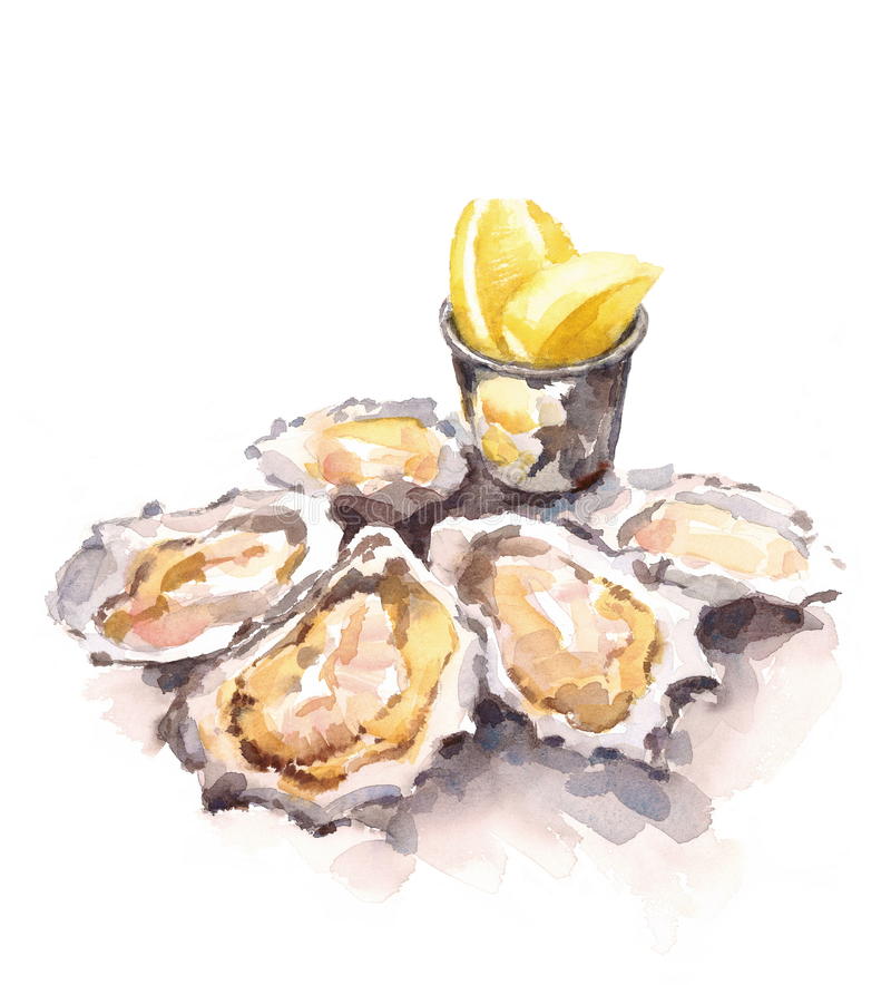 800x884 15 Oyster Clipart Watercolor For Free Download On Mbtskoudsalg