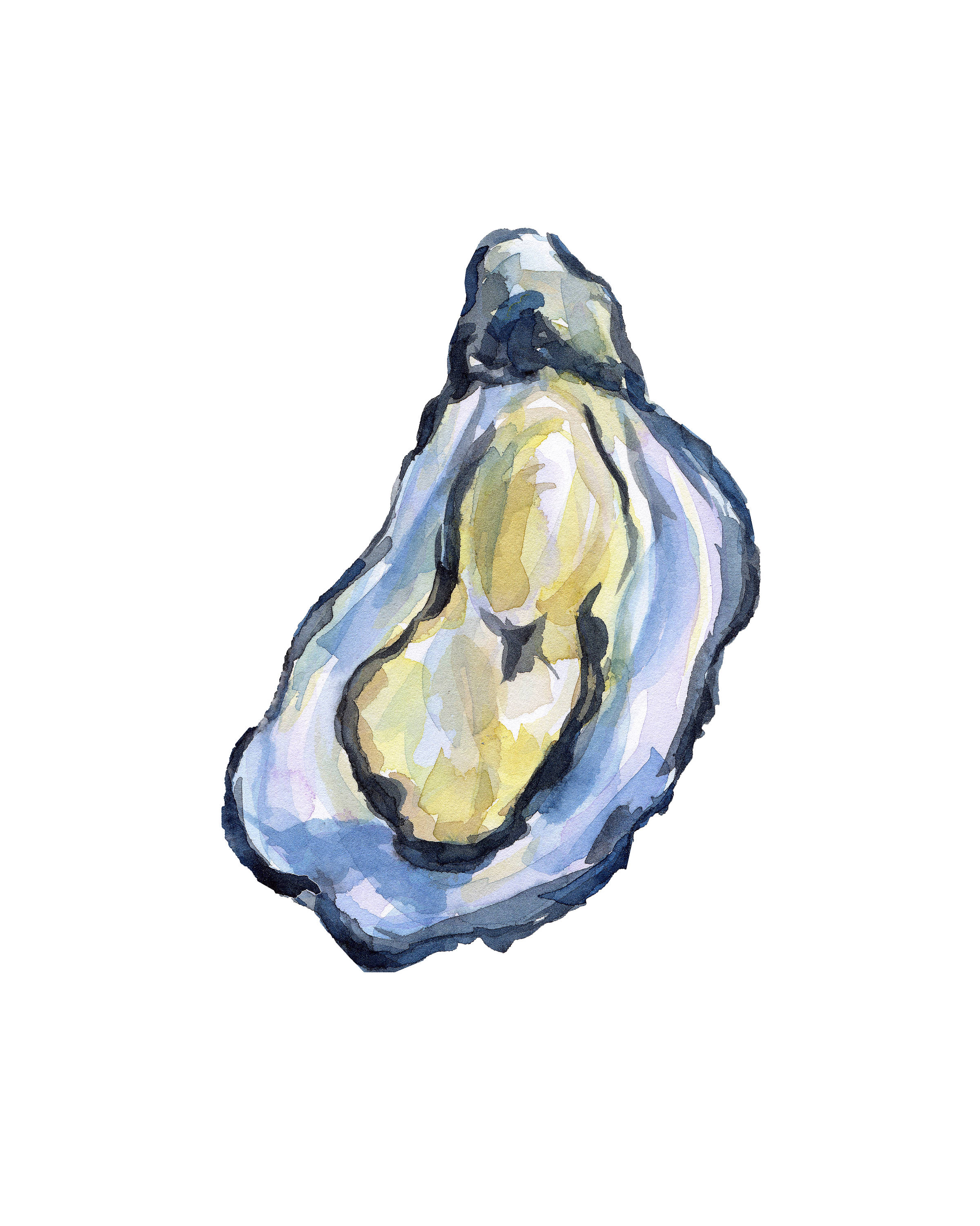 Oyster Watercolor at GetDrawings | Free download