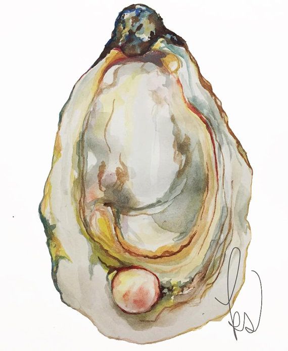570x695 9x12 Watercolor Oysters Painted To Order. Choose Any Of The 5