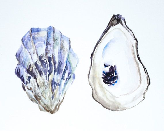 570x456 Purple Oyster Shells Original Watercolor Painting 8x10 Products