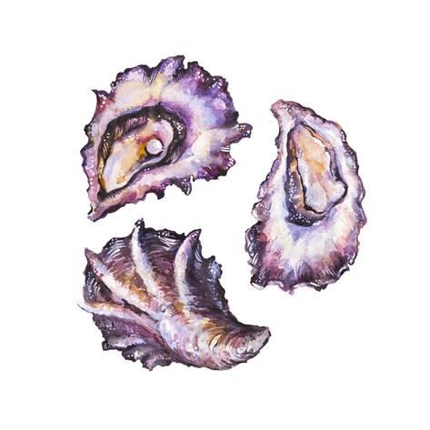 473x473 Watercolor Oyster Set Prints By Tanycya