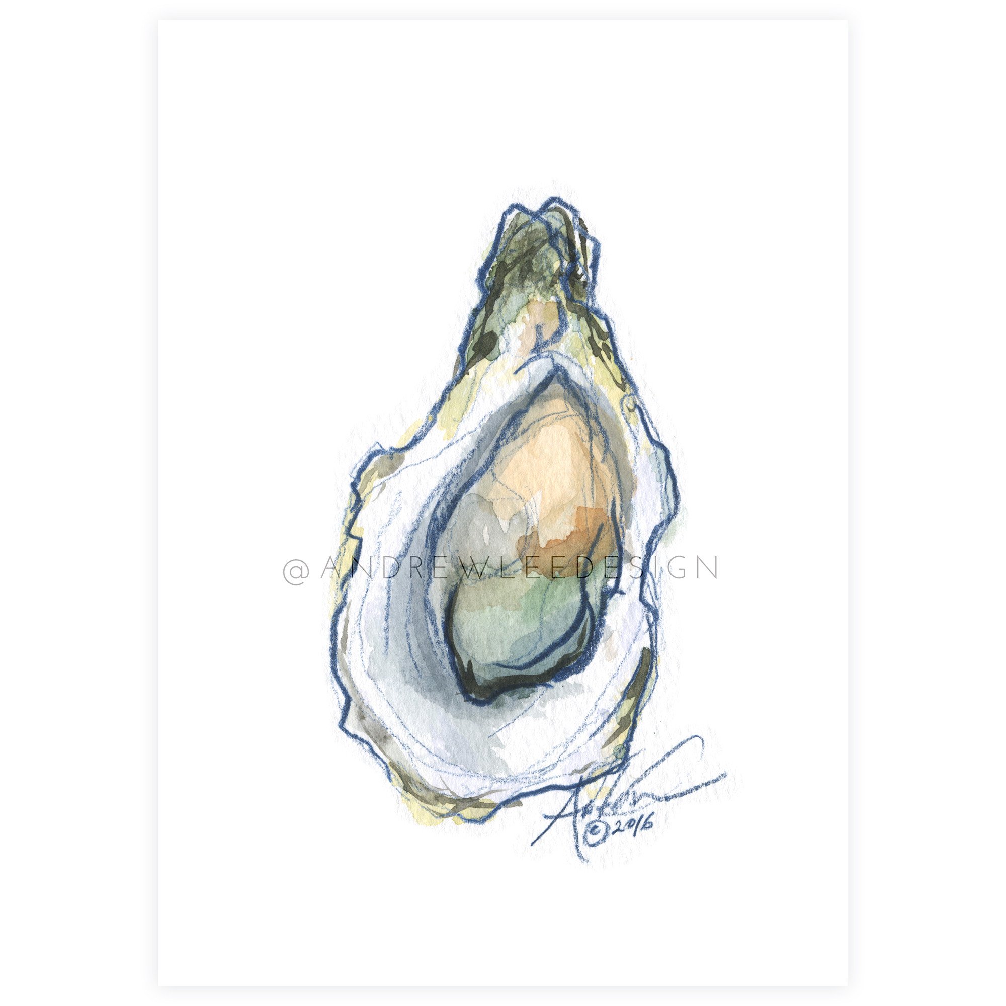 2000x2000 Oyster 3 Of 6, Indigo Amp Watercolor
