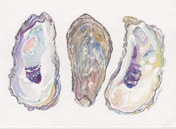 680x500 Oyster Shells Original Watercolor Painting, 5 X 7