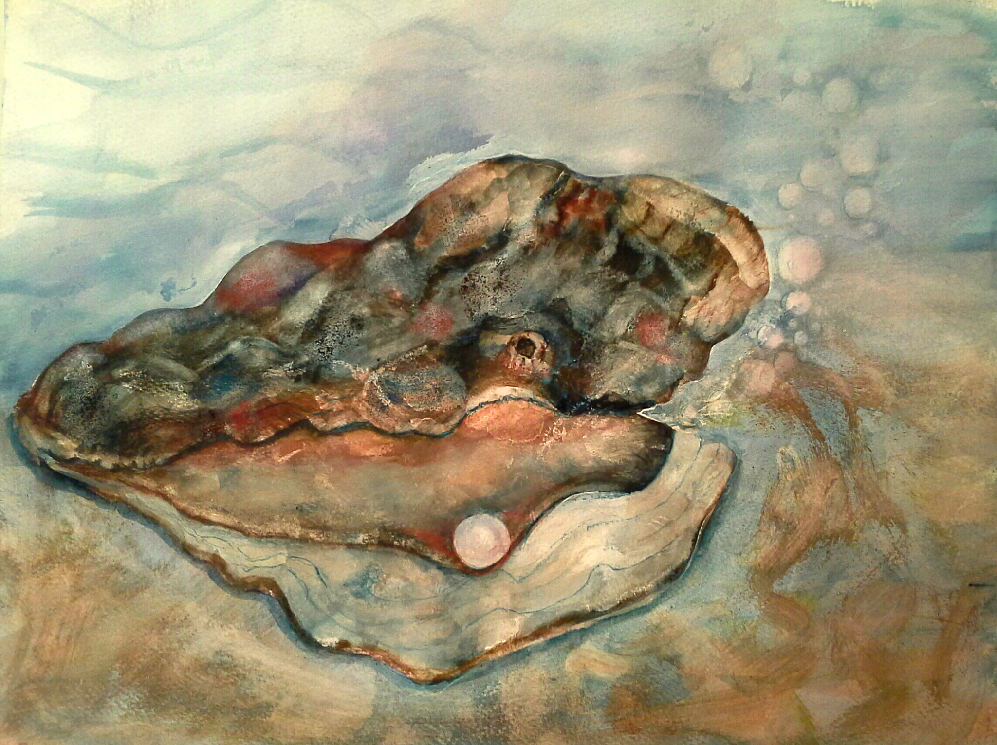 2048x1531 Oyster With Pearl Hobby Sketcher