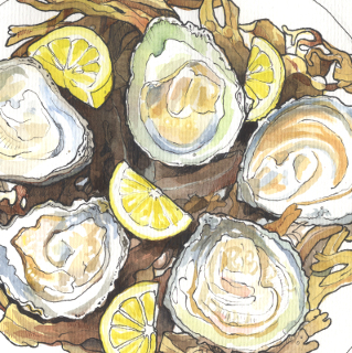319x320 Sketching The Clarenbridge Oyster Festival
