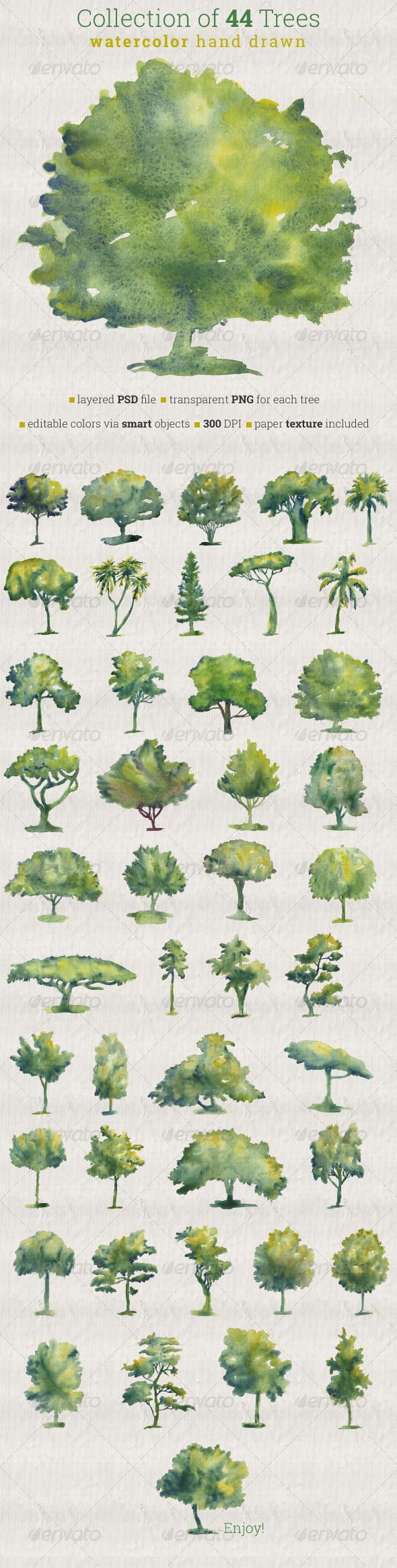 590x2329 Collection Of 44 Watercolor Trees Watercolor Trees