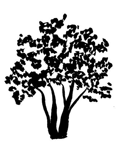 386x485 Paint A Sunset In Watercolor