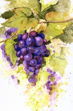 236x361 Grapes Painting