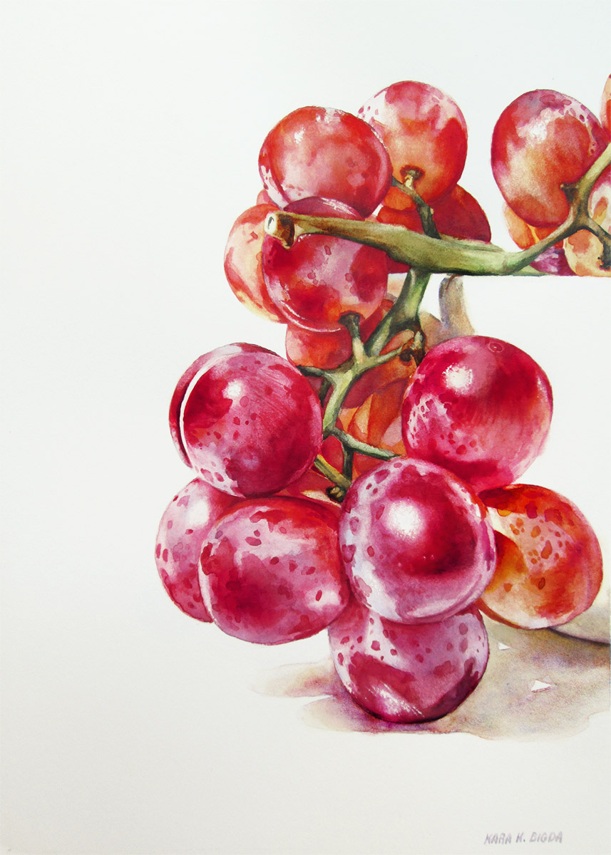 857x1200 Kara K. Bigda Grape Study
