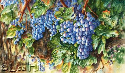 485x285 Step By Step Watercolor Demonstration Of Purple Grapes