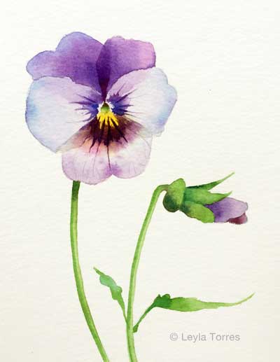 400x517 Painting A Pansy In Watercolor