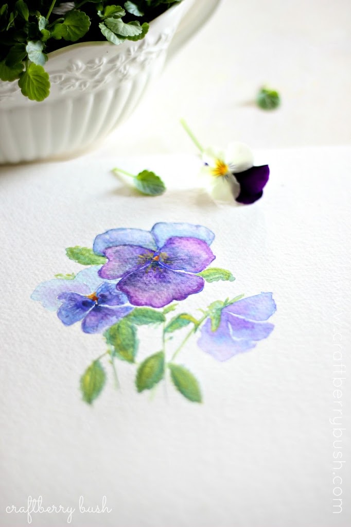 682x1024 Pansiesviolas And Some Watercolor