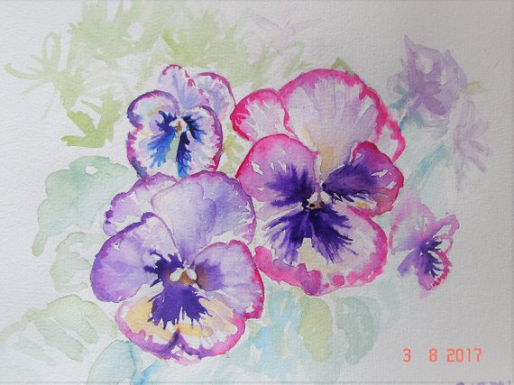 570x427 Pansy Art Original Watercolour Painting Floral Pansy Flower Etsy