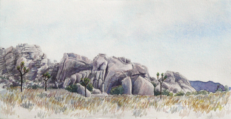800x413 Joshua Tree Residency