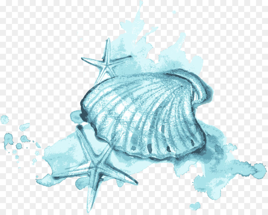 900x720 Seashell Watercolor Painting Illustration