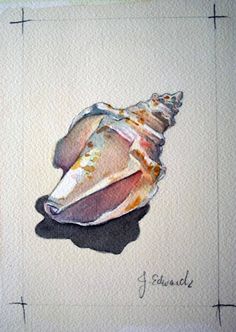 236x332 291 Best Shells, Shore And Beach Images Watercolour