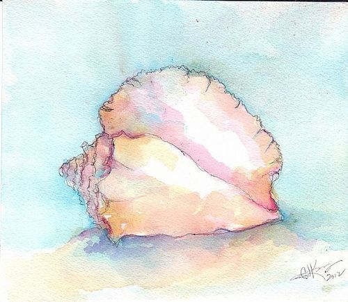 500x434 Seashell Pink